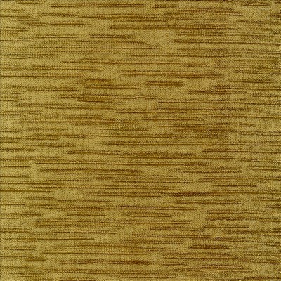 Kasmir CHIMERA          OLD GOLD        